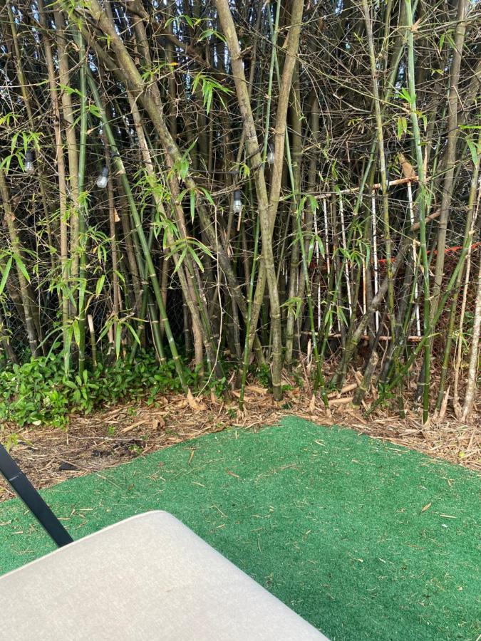 Crocodhouse Early Check In Free Parking 7 Years Hosting In Fort Laud フォート・ローダーデール エクステリア 写真